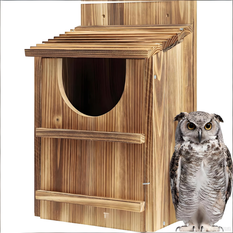 Boîte de nidification en bois Owl Haven