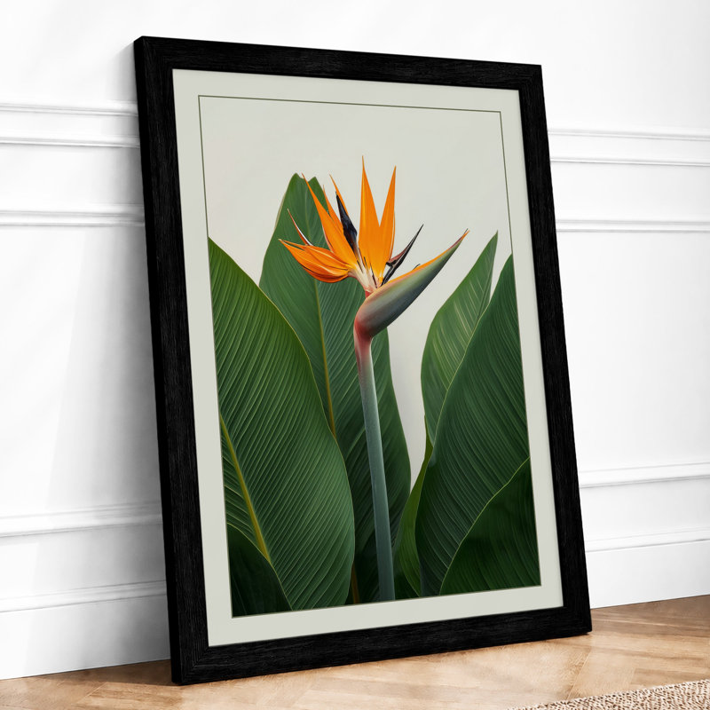 Bird of Paradise Bloom Botanical - Framed Print, A2 - 59.4 x 42.0 cm, Black