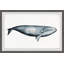 «Giant Blue Whale», reproduction encadrée Aife-959096230