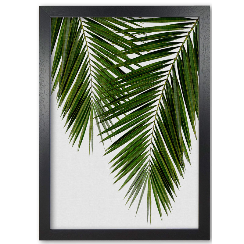 Palm Leaf II - Print, Black Grain Frame, 30 cm H x 21 cm W x 5 cm D
