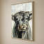 Vache Highland-1108431438-1108431439