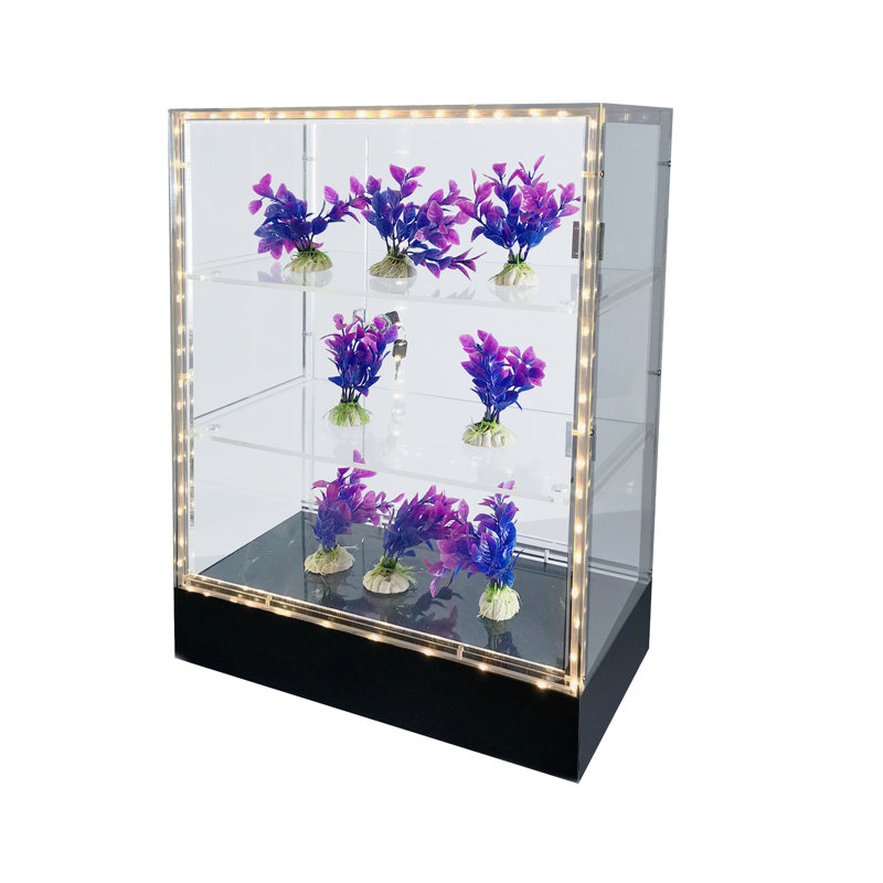Clear Cabinet Acrylic Display Removable Shelf Case Plexiglass Showcase with Lock and Key Transparent