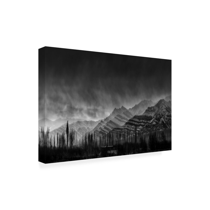 Art sur toile, montagnes de zèbres, H 16 po x l 24 po