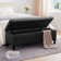 Asdrubale 50.3" Wide Faux Leather Upholstered Storage Bench