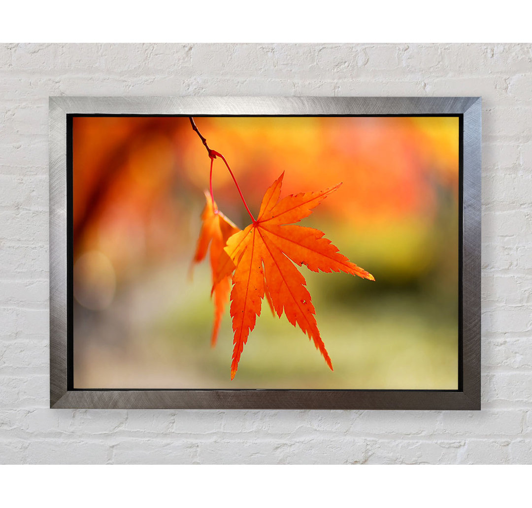 Orange Leaves Sparkle - Einzelner Bilderrahmen Kunstdrucke