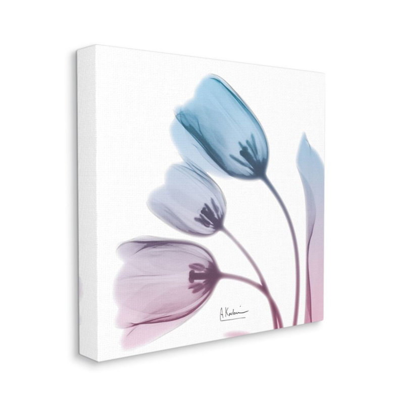 «Opaque Tulip Silhouette» par Albert Koetsier - reproduction d'art, Toile tendue, H 30 po x l 30 po