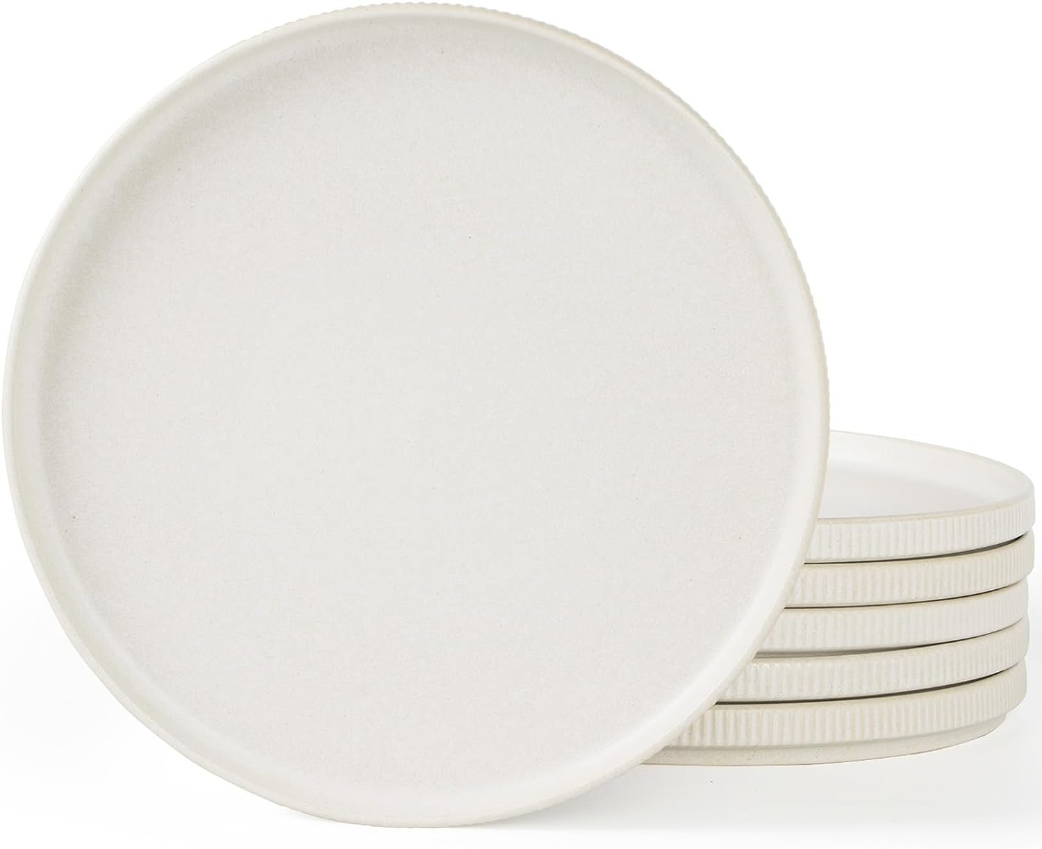 Joss & Main 10" Stoneware Dinner Plate, Matte White