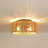 2-light 12in" Ceiling Light with Paper Rattan Shade