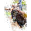 Donkey 3710 Print by Chamira Young-71200982-71200983
