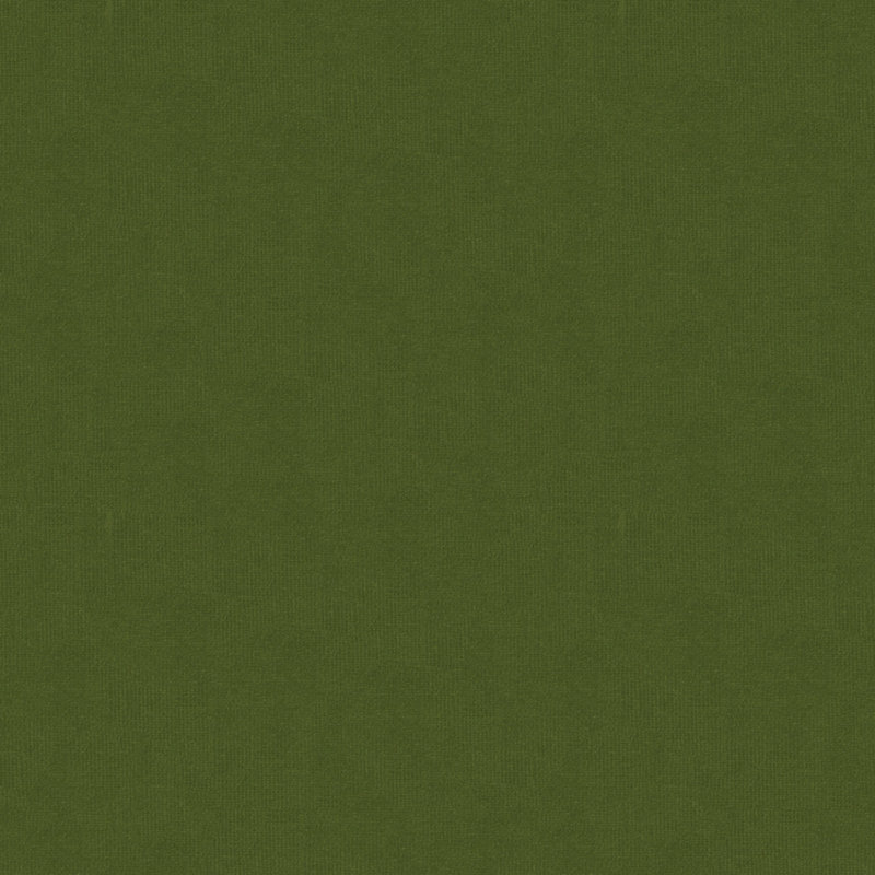 Spectrum Velvet Fabric, Olive
