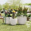 Ensemble de jardinières Durable Mgo, fini mat moderne, utilisation intérieure et extérieure