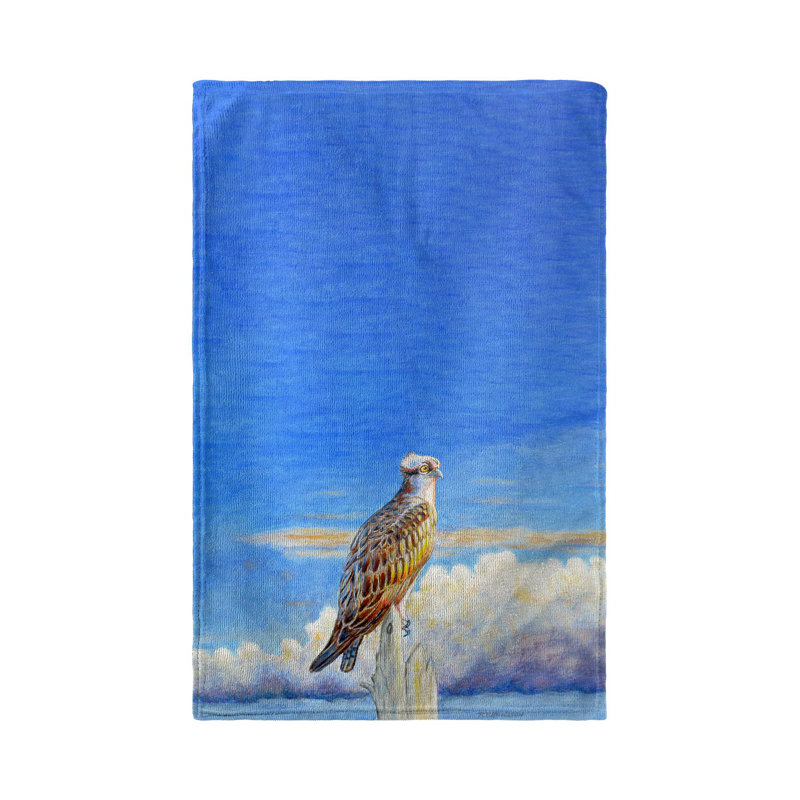Dish Cloth Kitchen Towel