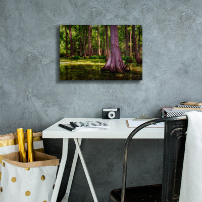 «Spring In The Bayou» par Rick Berk, art mural sur toile