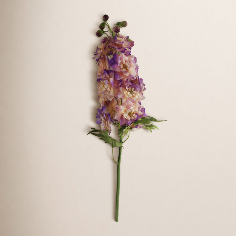 DELPHINIUM SHORT STEM