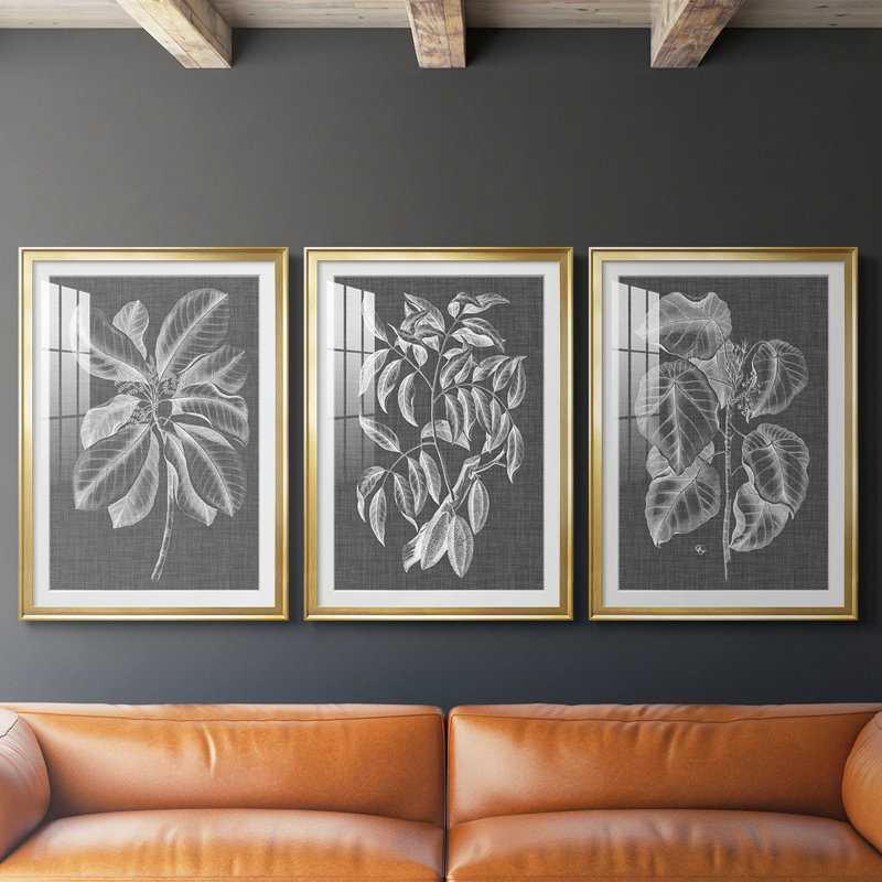 Graphic Foliage II - reproduction encadrée sur mesure de qualité supérieure mate - 3 pièces, Noir, 19" H x 27" W