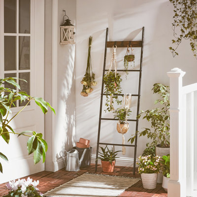 5 ft Blanket Ladder