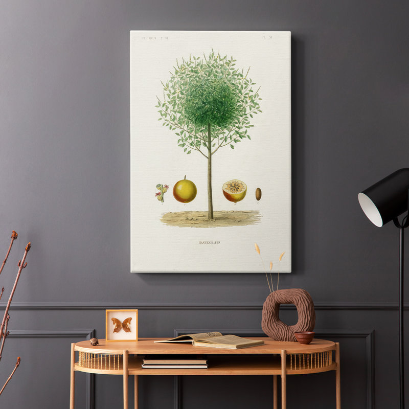 Arbre antique avec fruit VII - galerie Cavas enveloppé, H 36 po x l 24 po