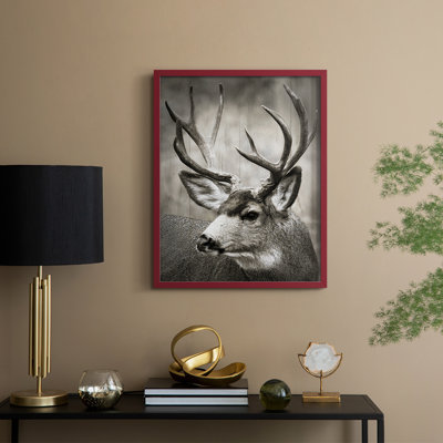 Focused Buck Framed Print - Solid Wood
