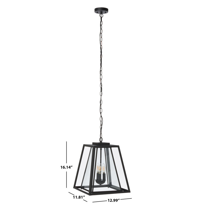 Rydler 16'' Black and Clear Glass Industrial Outdoor Pendant Light