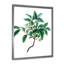«Leaves Plants IV», reproduction sur toile encadrée-59638318-59638332