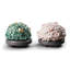 2 Piece Japanese Tree Pots Sculpture Set