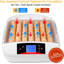 Incubateur d'oeufs de poule Andrejs