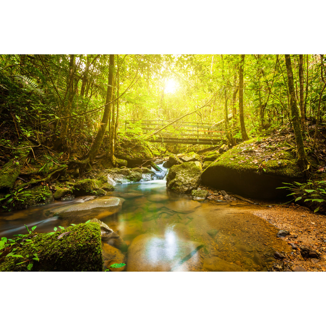 Stream In The Jungle At Sunrise von Zodebala - Drucken