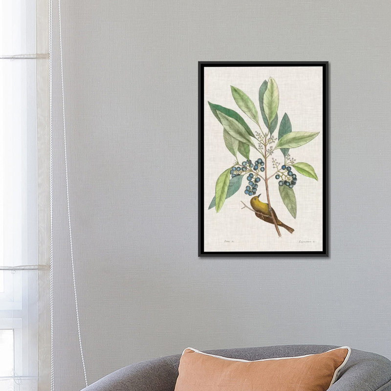 «Études», impression sur toile, H 26 po x l 18 po x P 1,5 po, Toile avec cadre noir, Pas de tapis