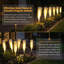 Paquet de 8 lumières à roseaux solaires pour l'extérieur, lumières de piquet de jardin chaudes et lumineuses, imperméable IP65, allumage / extinction automatique, allée et patio