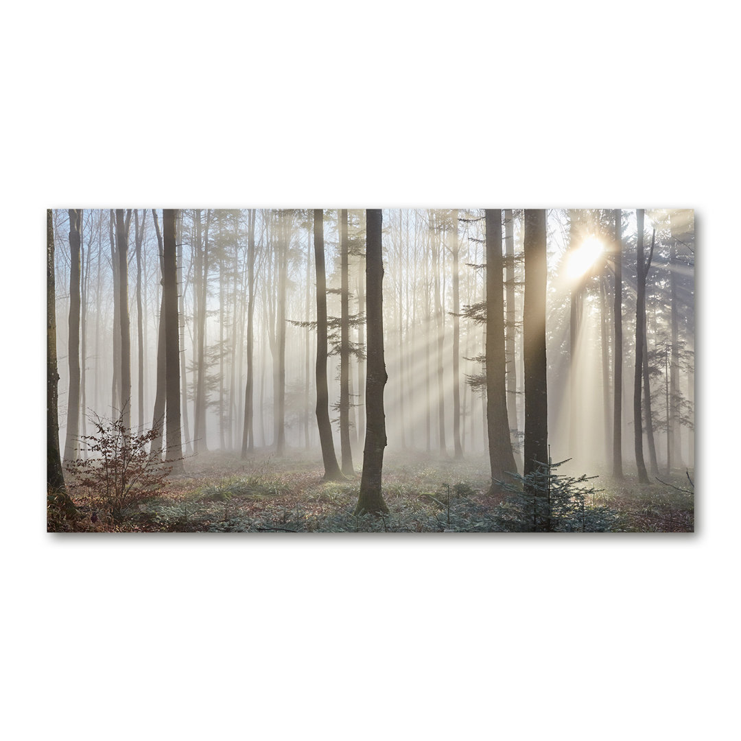 Nebel im Wald - Kunstdrucke auf Leinwand - Wrapped Canvas