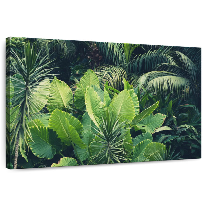 Harnek - jungle tropicale, H 32 po x l 48 po