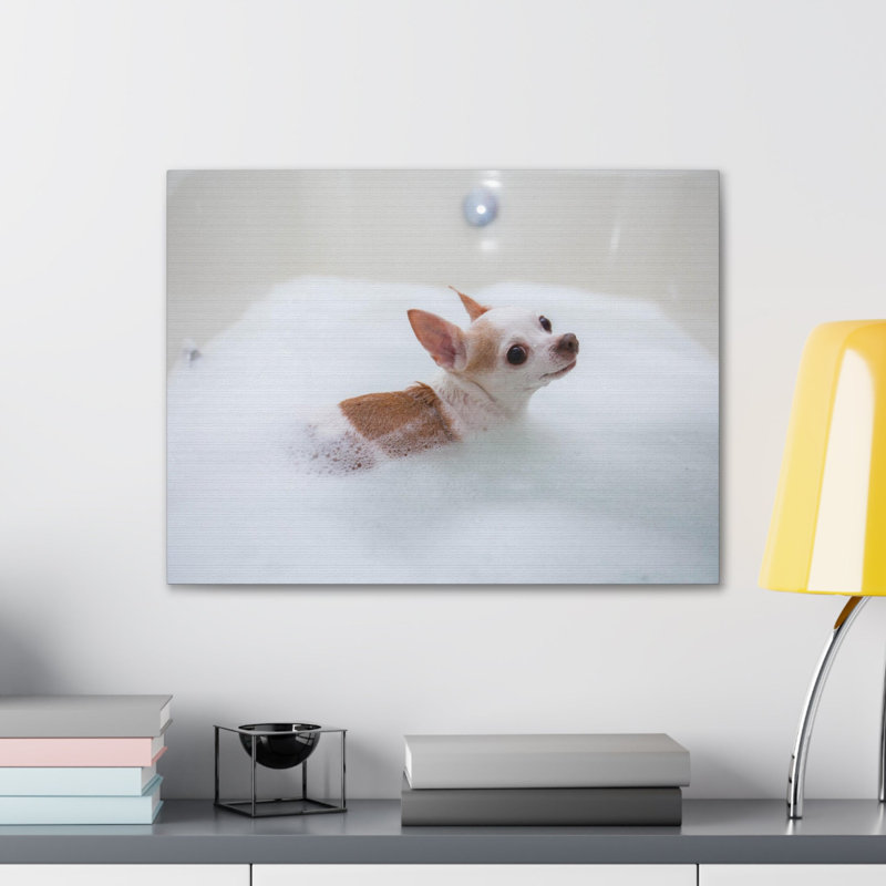 «Cute Chihuahua Bathee», art mural sur toile, H 18 po x l 24 po