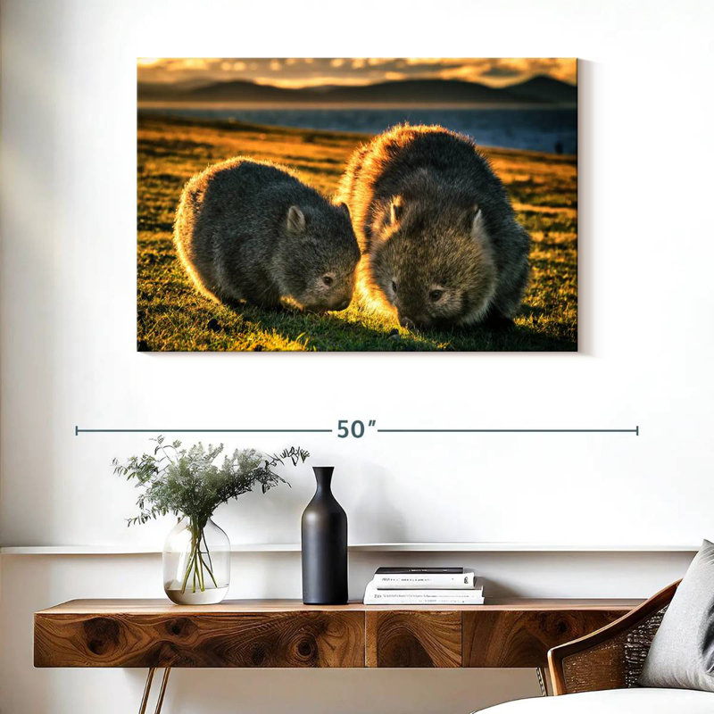 Brampt Wombats In The Field