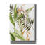 Toile épique «Botanical Shell Ginger» par Kathleen Parr, graffiti épique, 12 po x 16 po-106172369