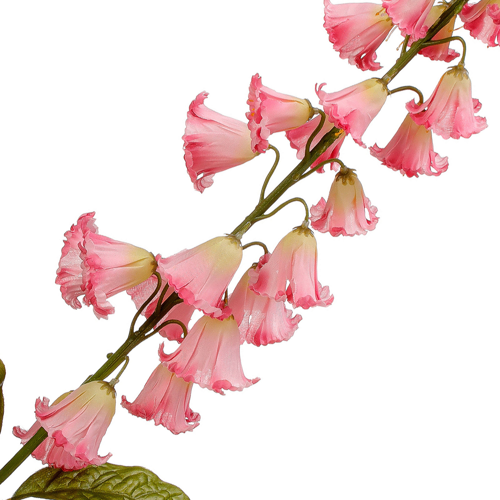 Campanula Spike Stems, Pink