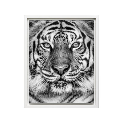 Tigre n ° 2