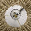 Luminaire suspendu 1 lumière Seagrass Dome