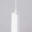 Bibianna 1 - Light Stainless Steel Pendant-552731967