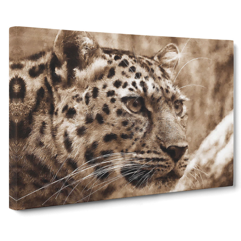 Leopard Vol.3 - Wrapped Canvas, 50cm H x 76cm W x 3cm D