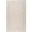 Wool Oriental Area Rug