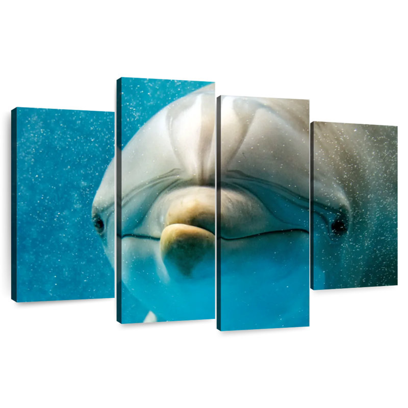 Nosy Dolphin, H 27 po x l 43 po