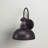 Harriett Wall Light