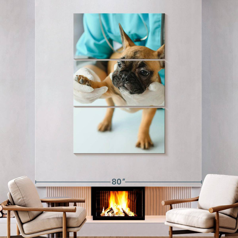 Brampt Pet Care, 74" H x 48" W