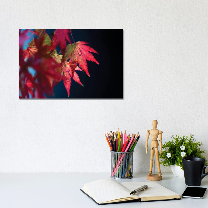 Red Fragile by Philippe Sainte-Laudy - Wrapped Canvas Print, 20.32 cm H x 30.48 cm W