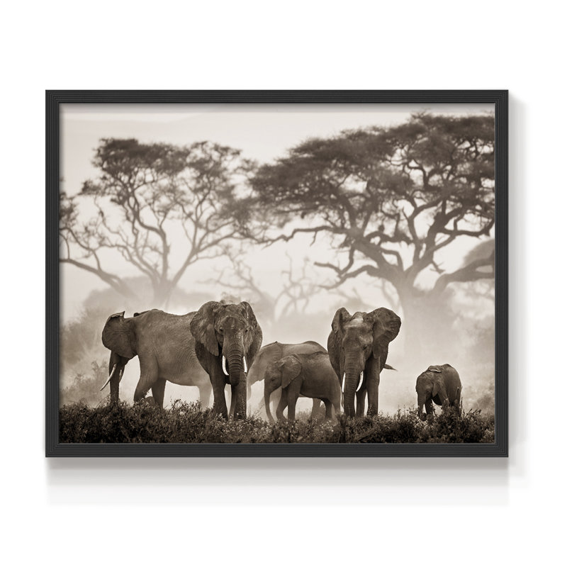 Parc national Amboseli - reproduction encadrée - réarmable, H 8 po x l 10 po, Noir, noir, noir, noir