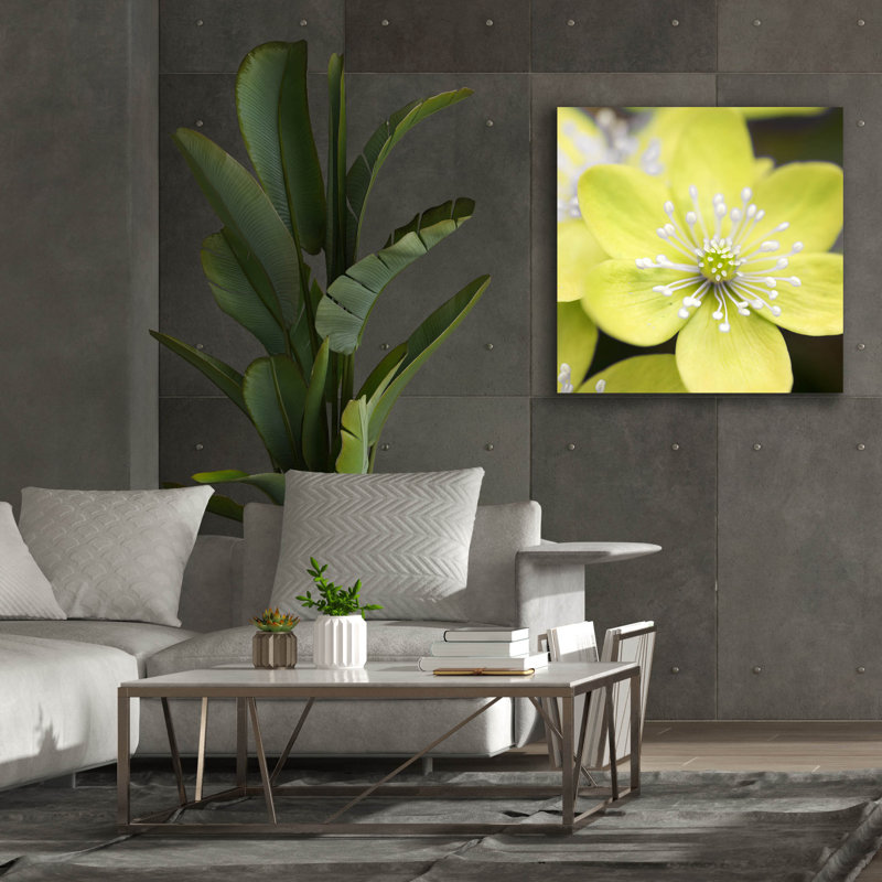 «Yellow Blossom» par PhotoINC Studio, H 37 po x l 37 po x P 1,5 po