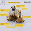 All-In-One Kit with Rough in-Valve-69968963