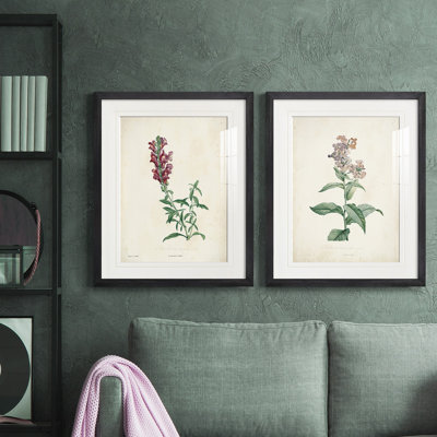 «Traditional Botanical I», reproduction encadrée de qualité supérieure, prête à être accrochée