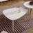 EGG SHAPE COFFEE TABLE