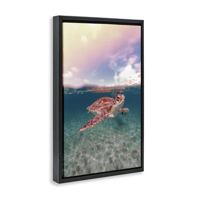 Above & Below Sea Turtle Floater Canvas by Max Blakesberg Studios